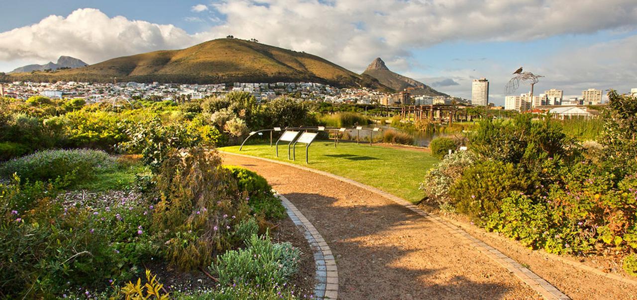Harbour Terrace 14 By Ctha Apartment Cape Town Exterior photo